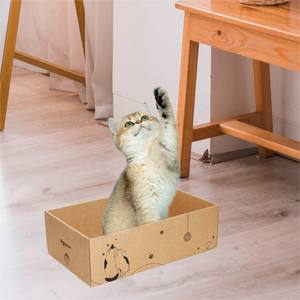 cat scratcher