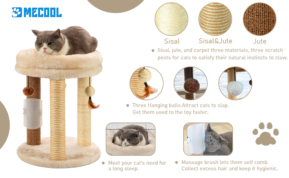 cat scratching post