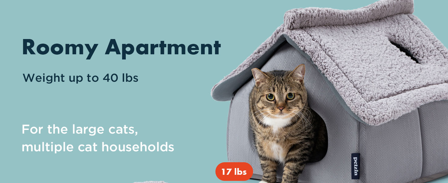 large cat bed