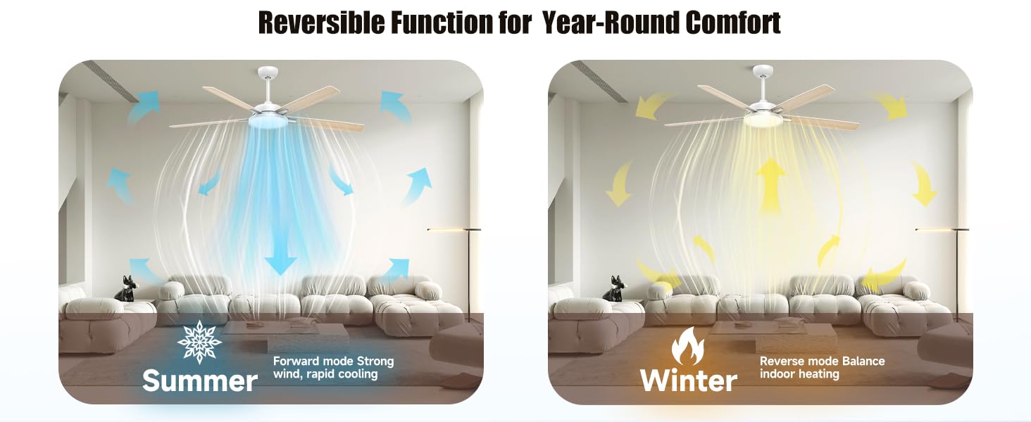 large ceiling fan