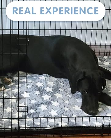 dog bed mat