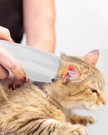  Dog Grooming Kit 