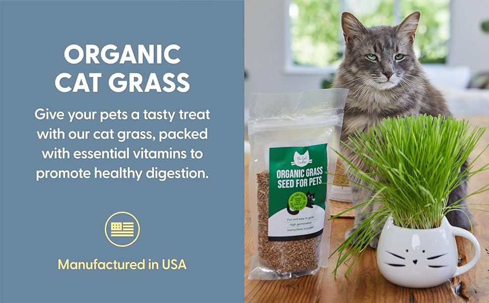 organic grass seed for pets