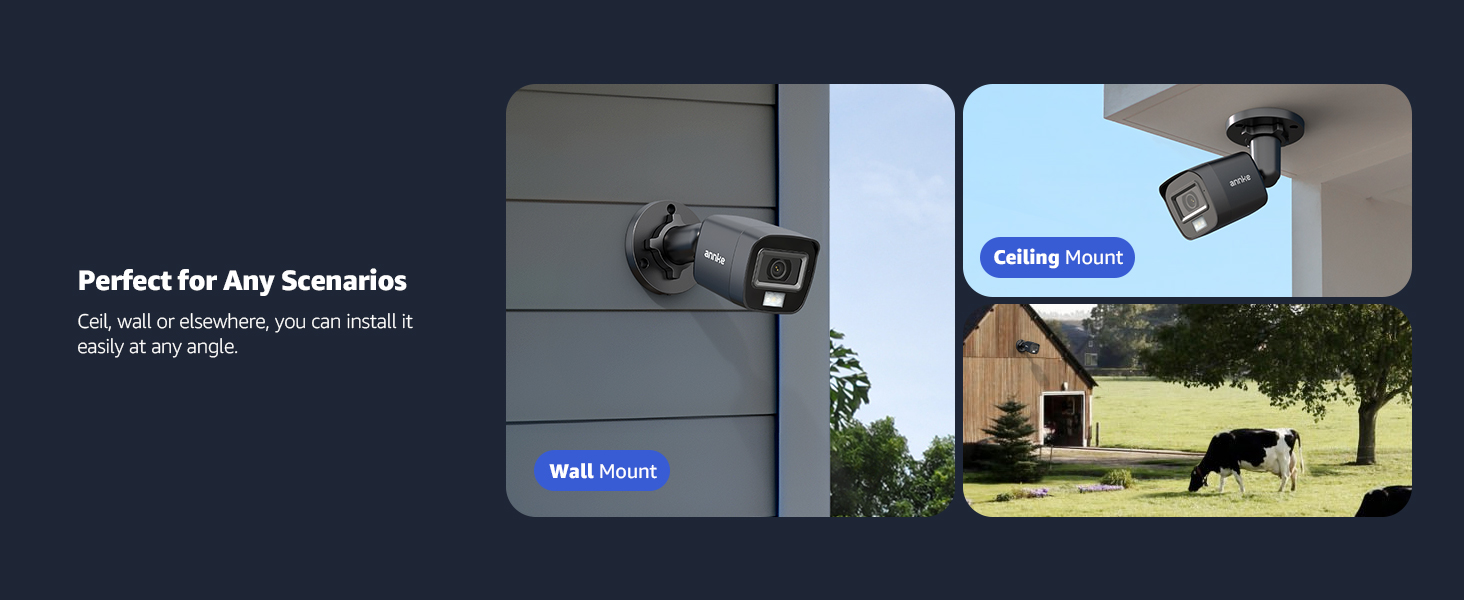 wall mounted