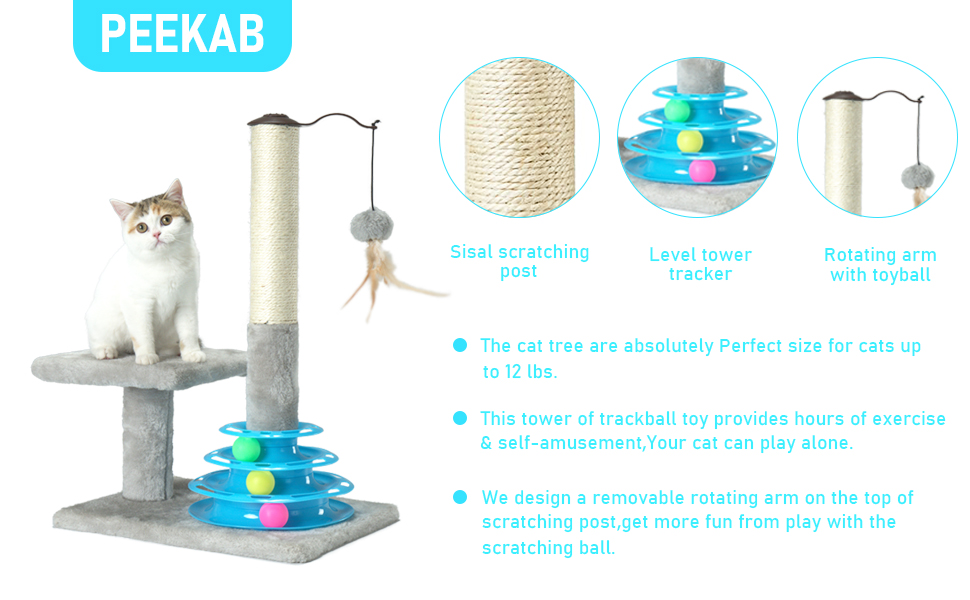 cat scratching post