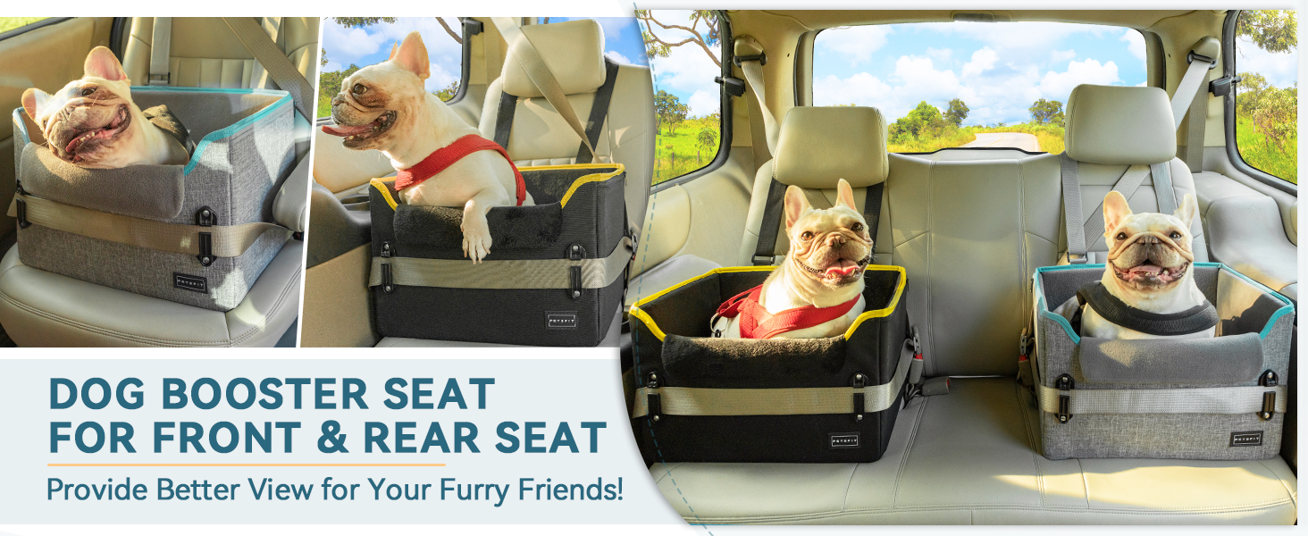 Small Dog Car Seat
