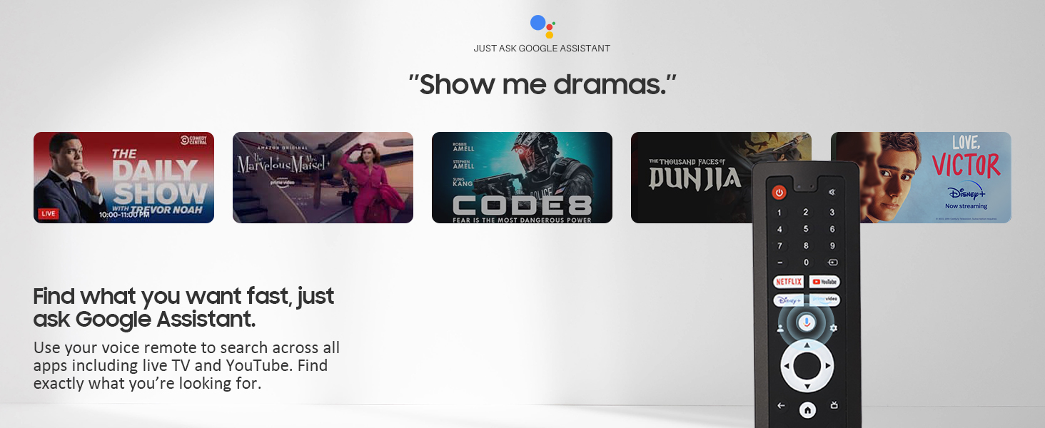 Voice control Google Assistant