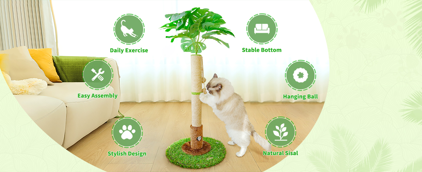Meet the playing needs of cats.