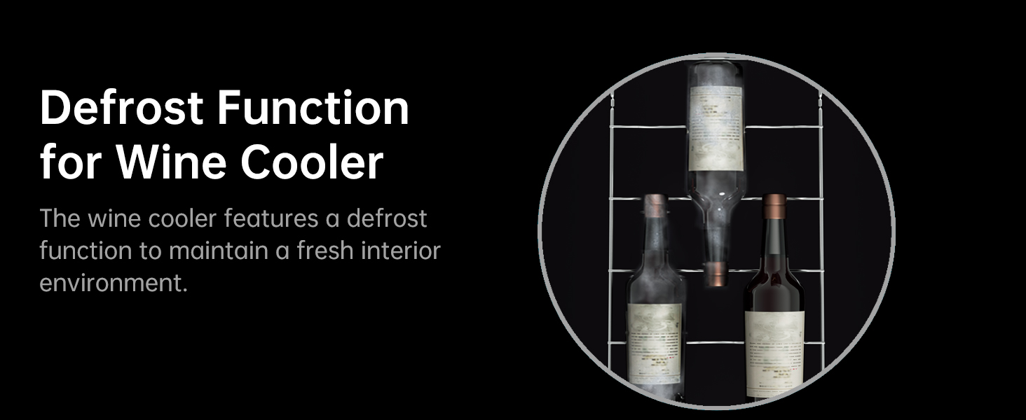 模块一05:71WS-24 bottles Wine cooler