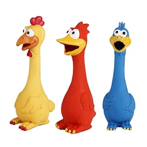 dog squeaky chicken rubber toy