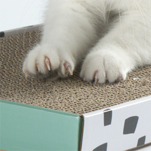 cat scratching pad