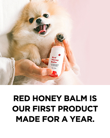 paw soother cat cream