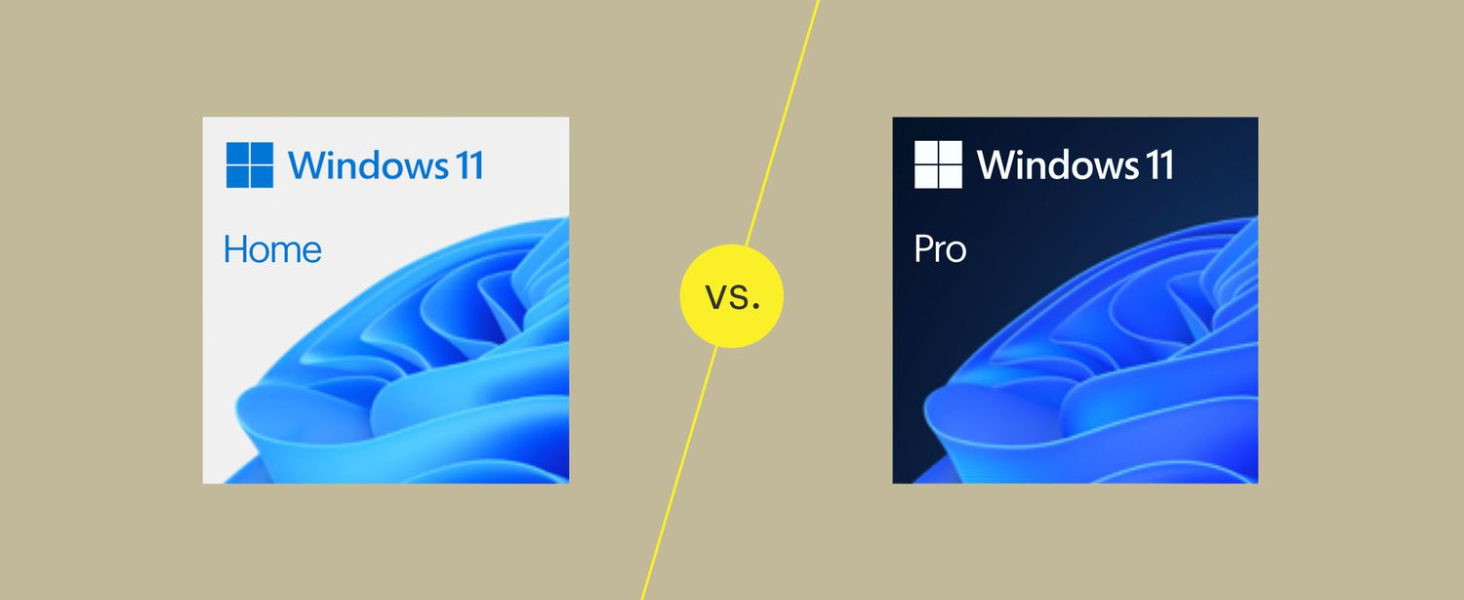 Windows 11 Home/Pro