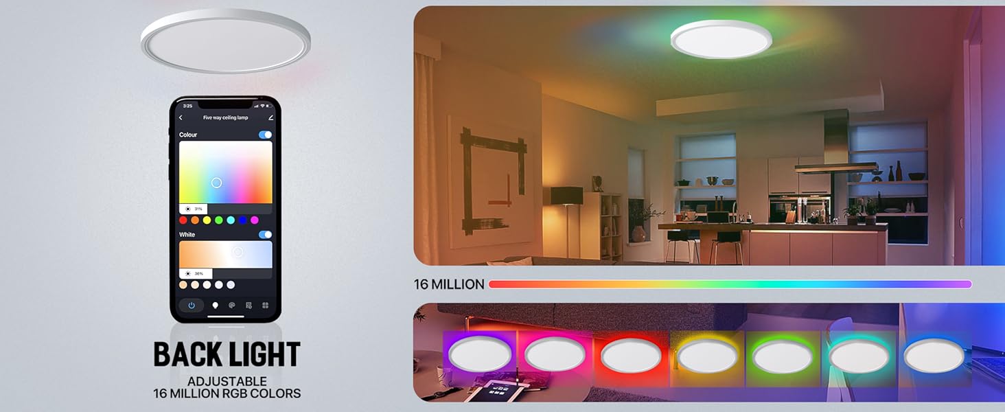 smart ceiling light