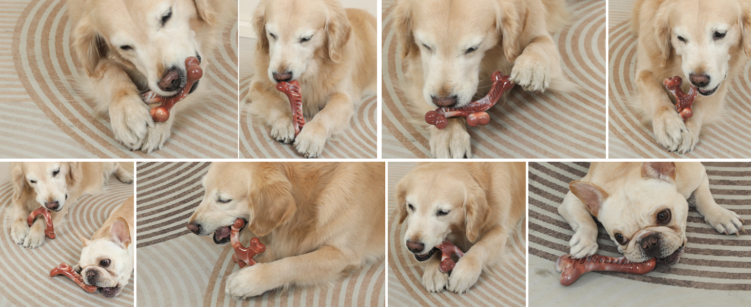 Dogs chew it at any time