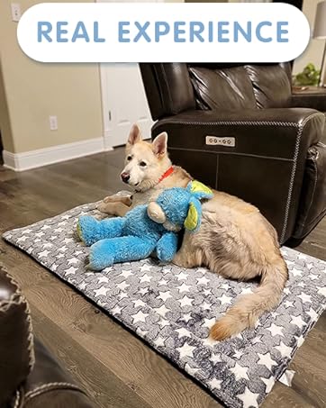 dog bed mat