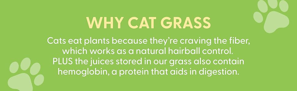 why cat grass hairball control digestion