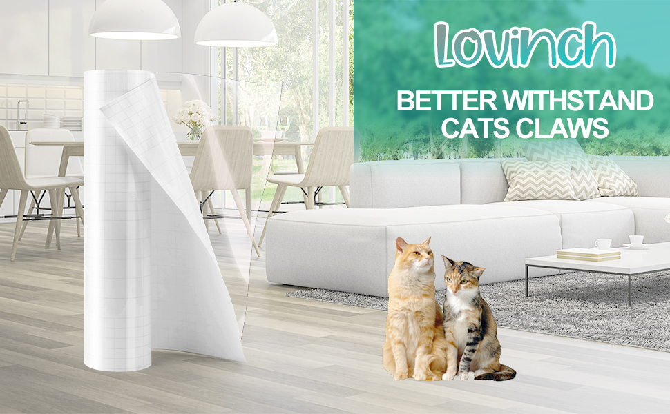 Stop and keep cats from scratching furniture