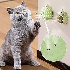 cat nip balls wall