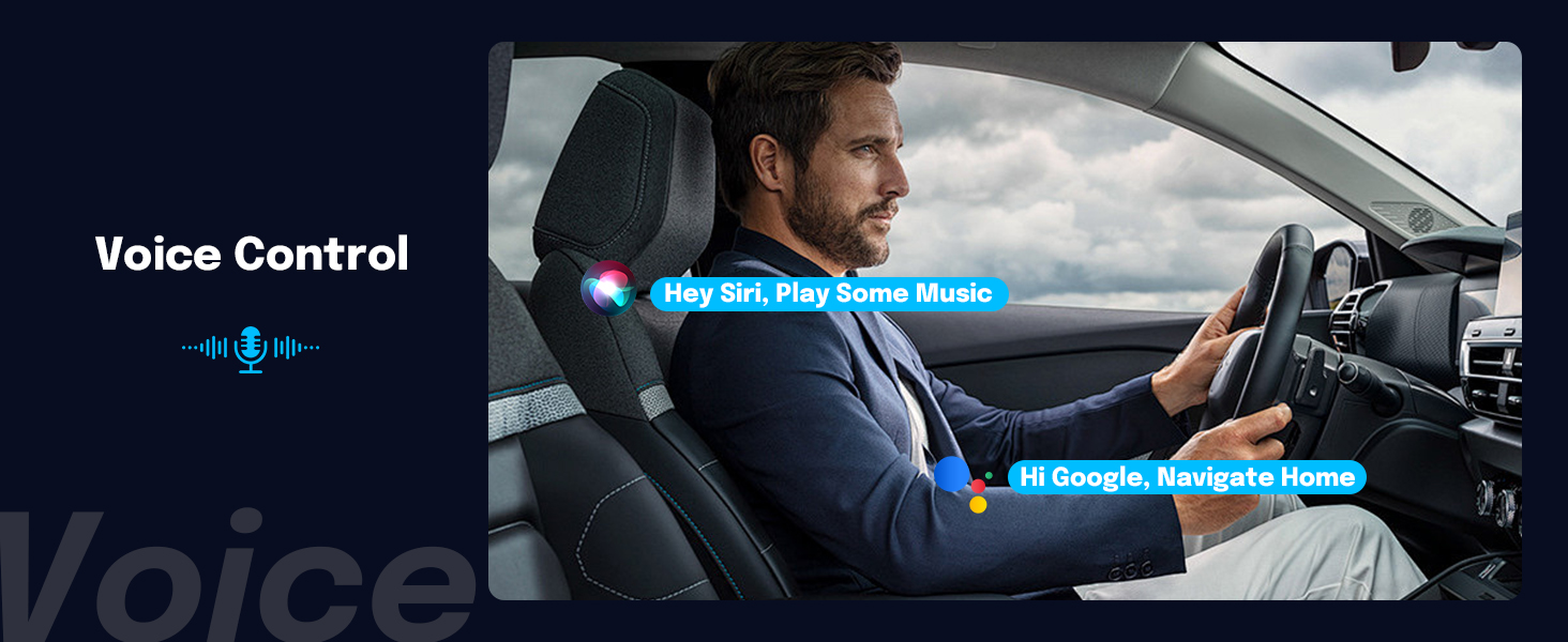 voice control