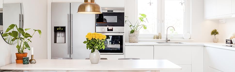 Kitchen fridge