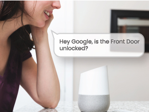 voice control