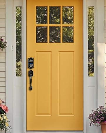 keyless entry door lock with handle 