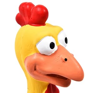 dog squeaky chicken rubber toy