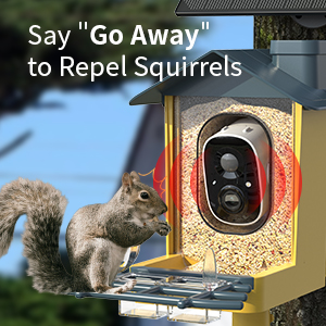 bird feeder with camera
