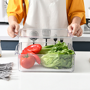 fridge organizer