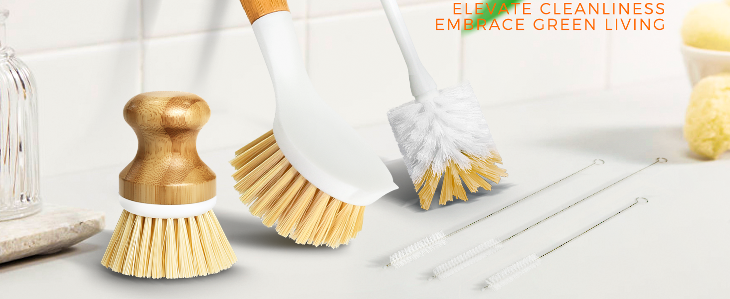 dish brush