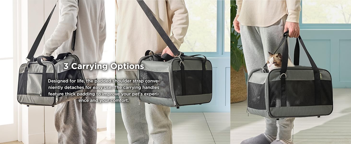 dog carrier