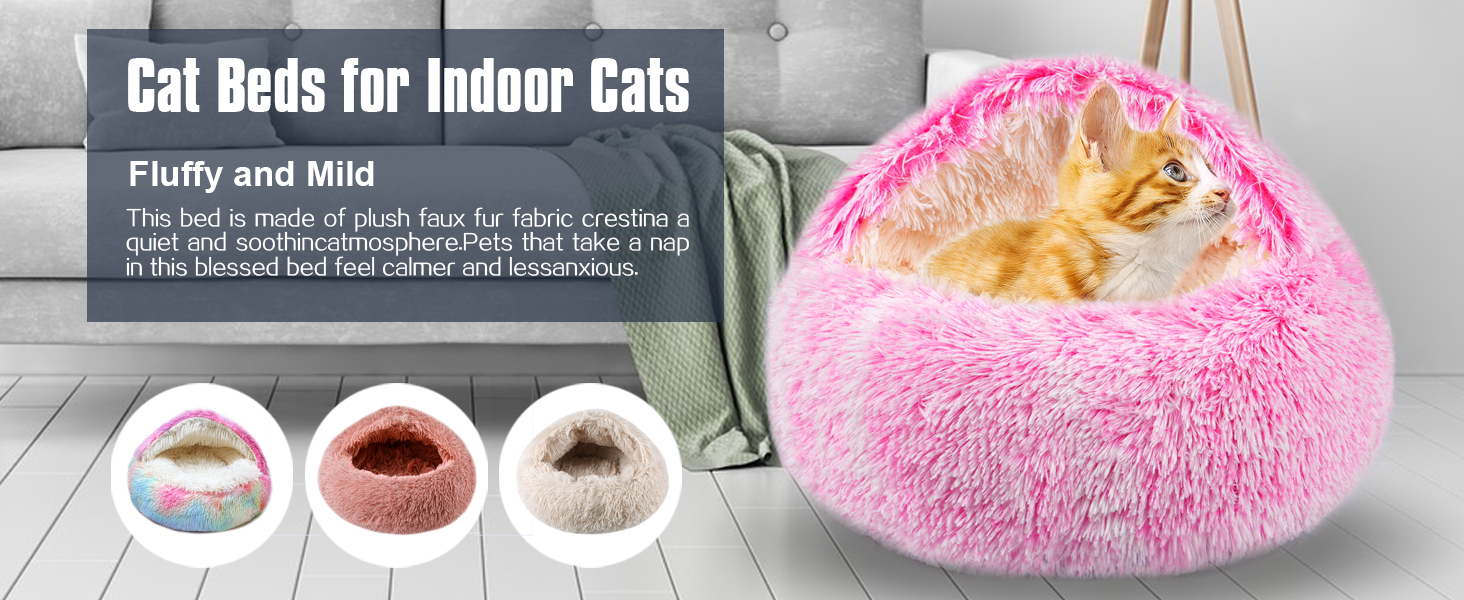 cat bed