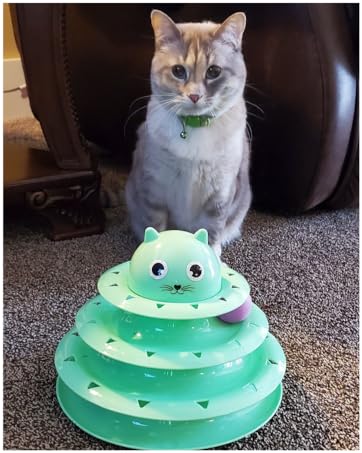Pet
