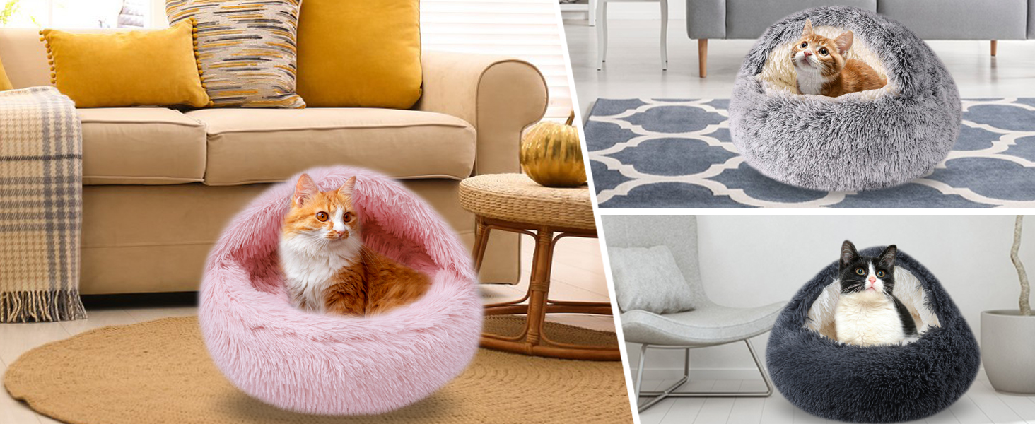 cat bed