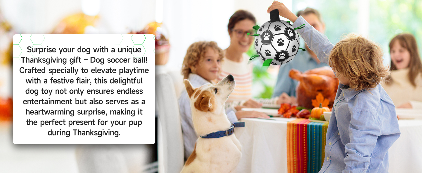 Thankgiving dog toys