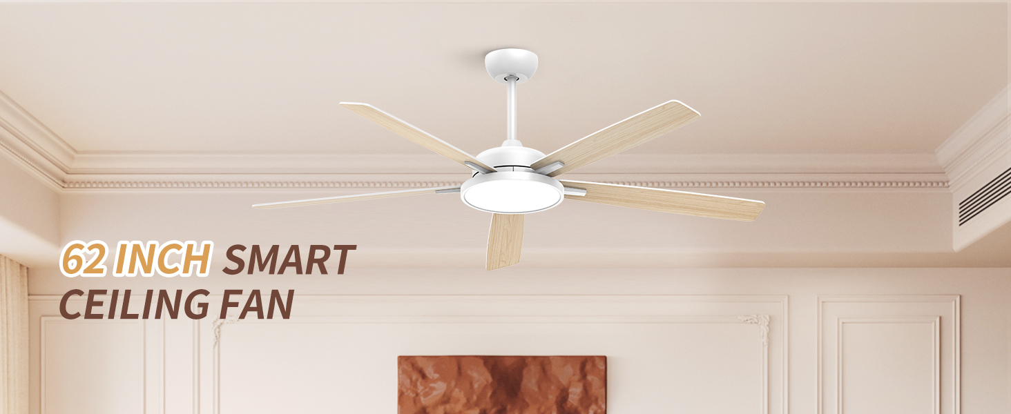 smart ceiling fan with light