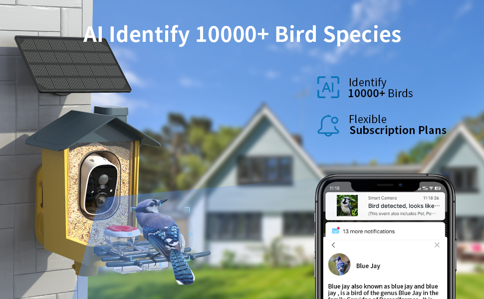 smart bird feeder