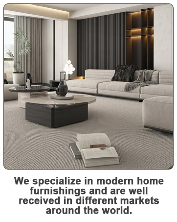 vacuum cleaner for home