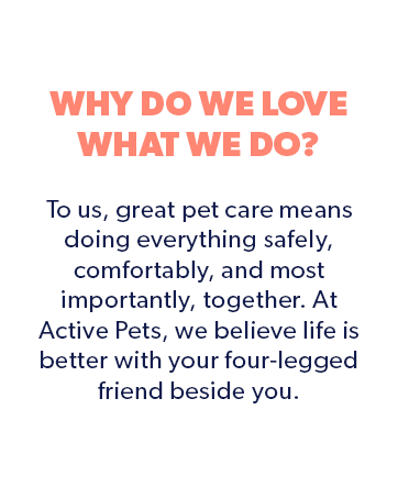 Why Do We Love What We Do?