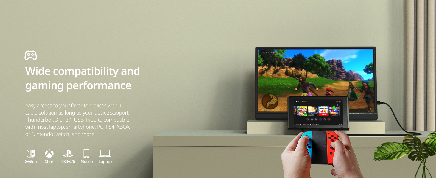 portable screen