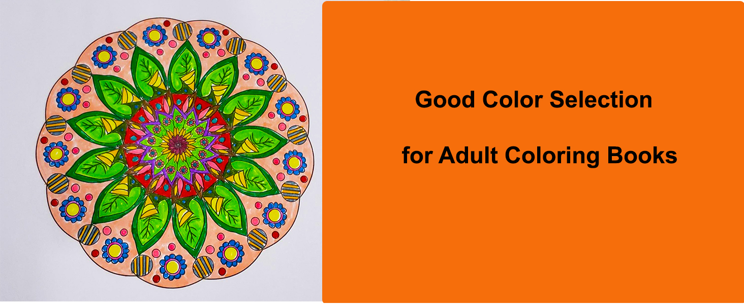 adult coloring book