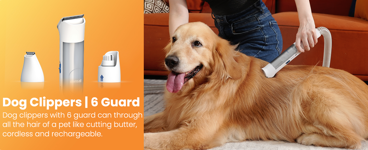dog hair vacuum