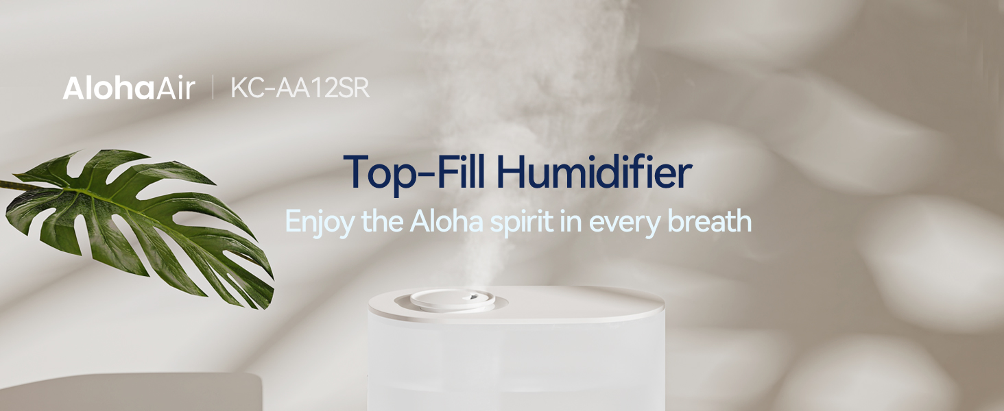 Humidifier