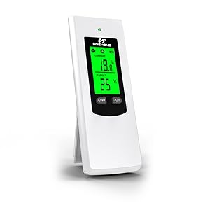 wireless programmable thermostat plug