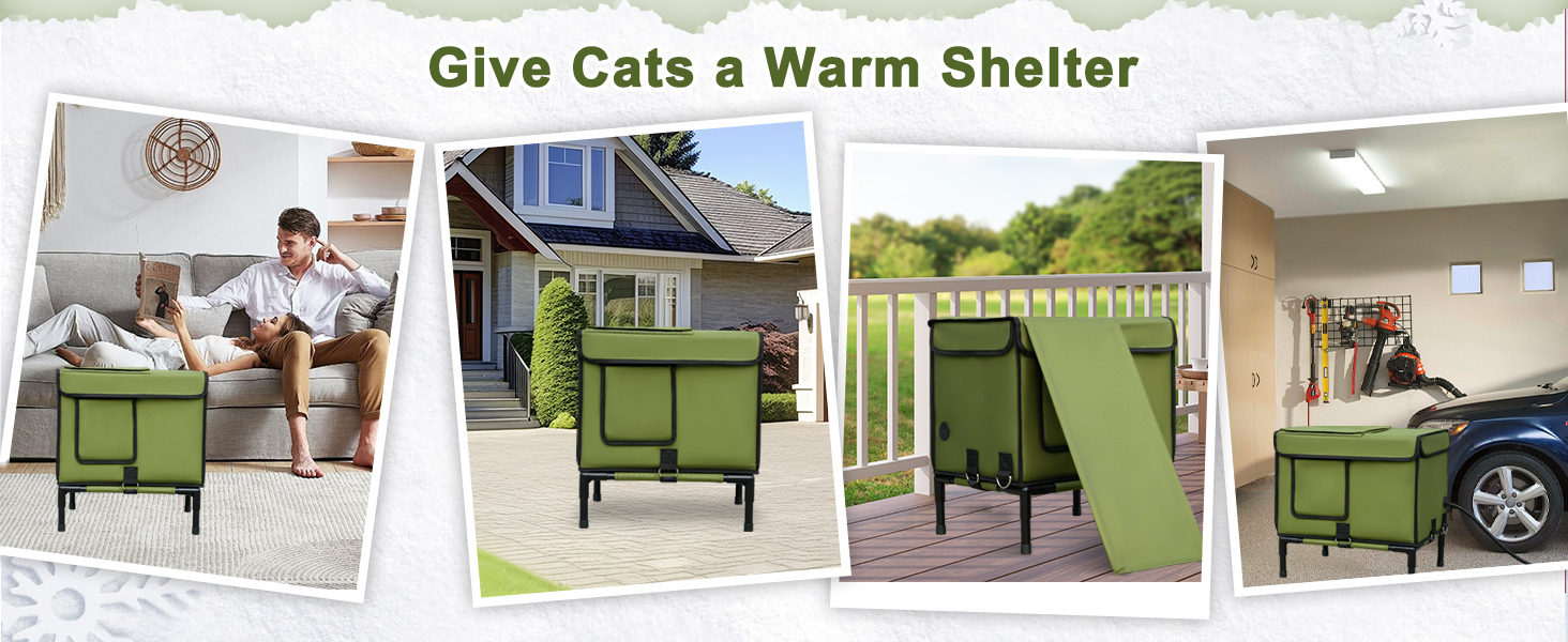 Cat House