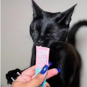 black cat eating Kitty UP 