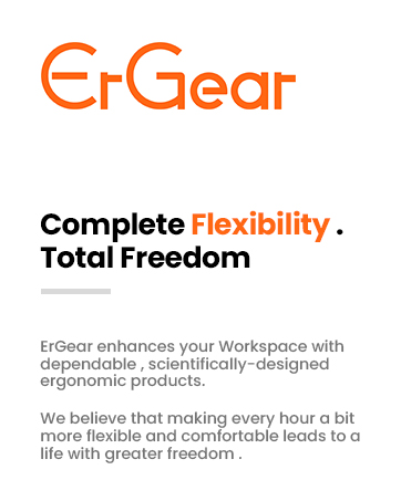 ErGear Monitor Mount