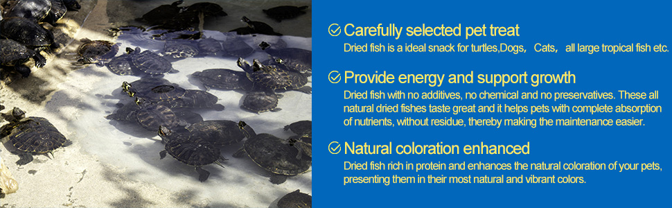 dried fish for turtles