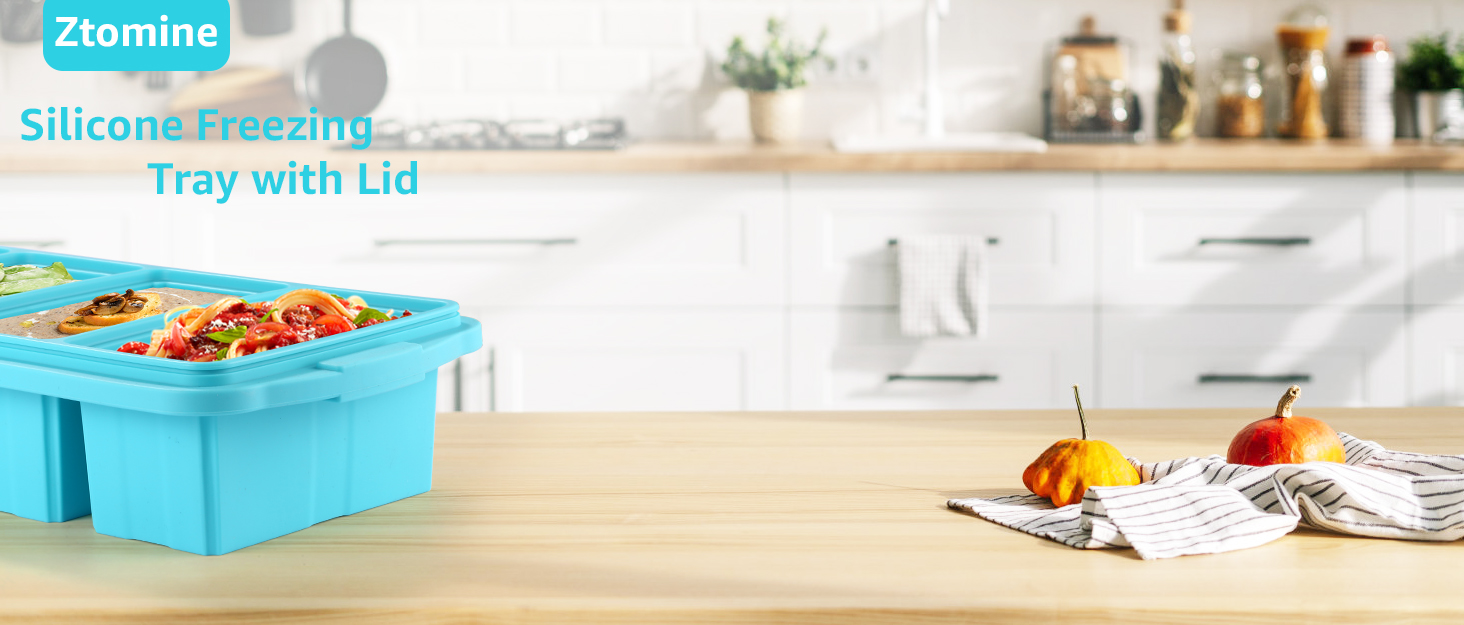 Silicone Freezer Tray With Lid